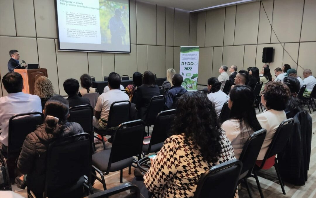 Presentan Paraguay + Verde en evento internacional de intercambio de avances de subproyectos REDD+