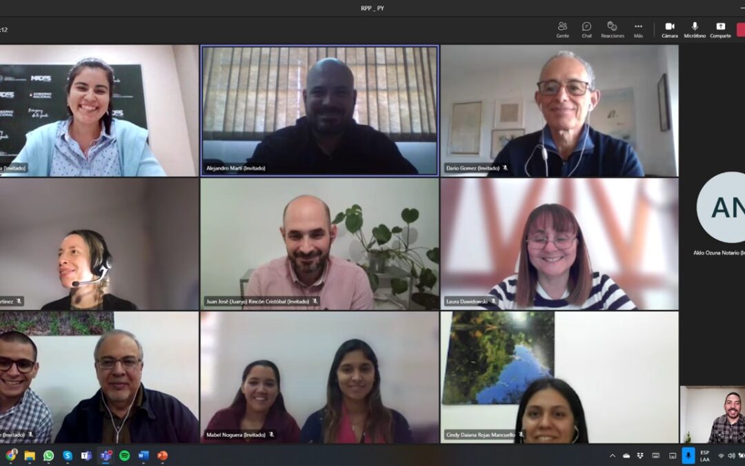 Se realizó la revisión por pares del INGEI serie temporal 1990-2019 Paraguay