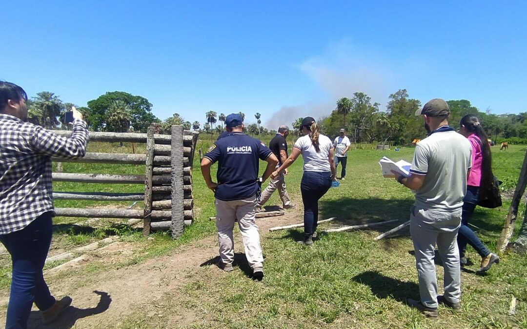 Intervención conjunta de un establecimiento por alterar condiciones naturales de un área protegida