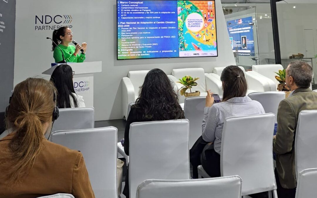 COP 27: Paraguay presentó su Actualización del Plan Nacional de Adaptación y los 5 Planes de Mitigación