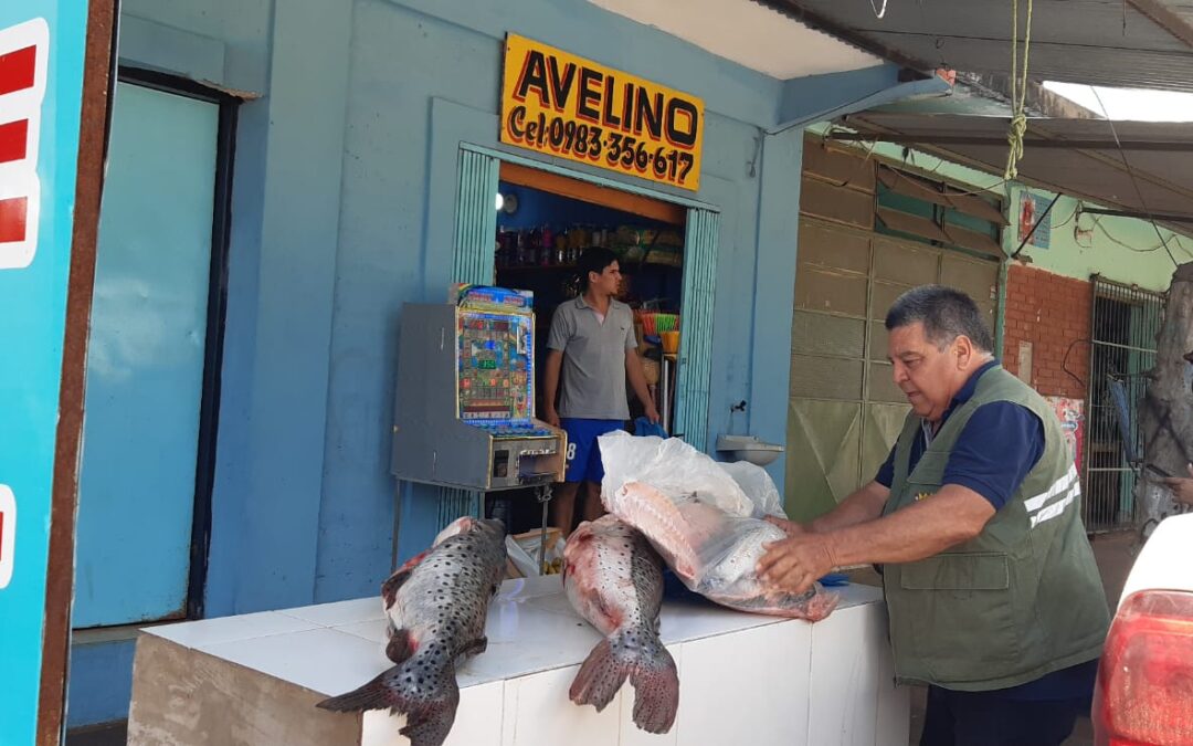 Veda Pesquera: Productos pesqueros en venta fueron decomisados de una Pescadería