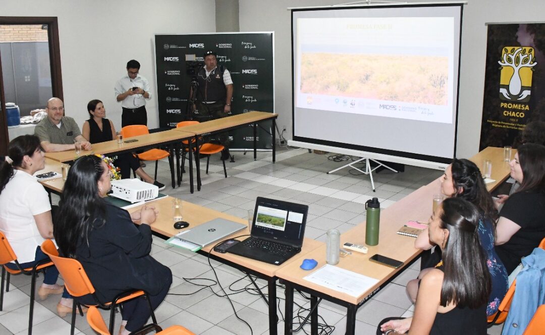 MADES y WWF-Paraguay presentan resultados del proyecto PROMESA – Fase II