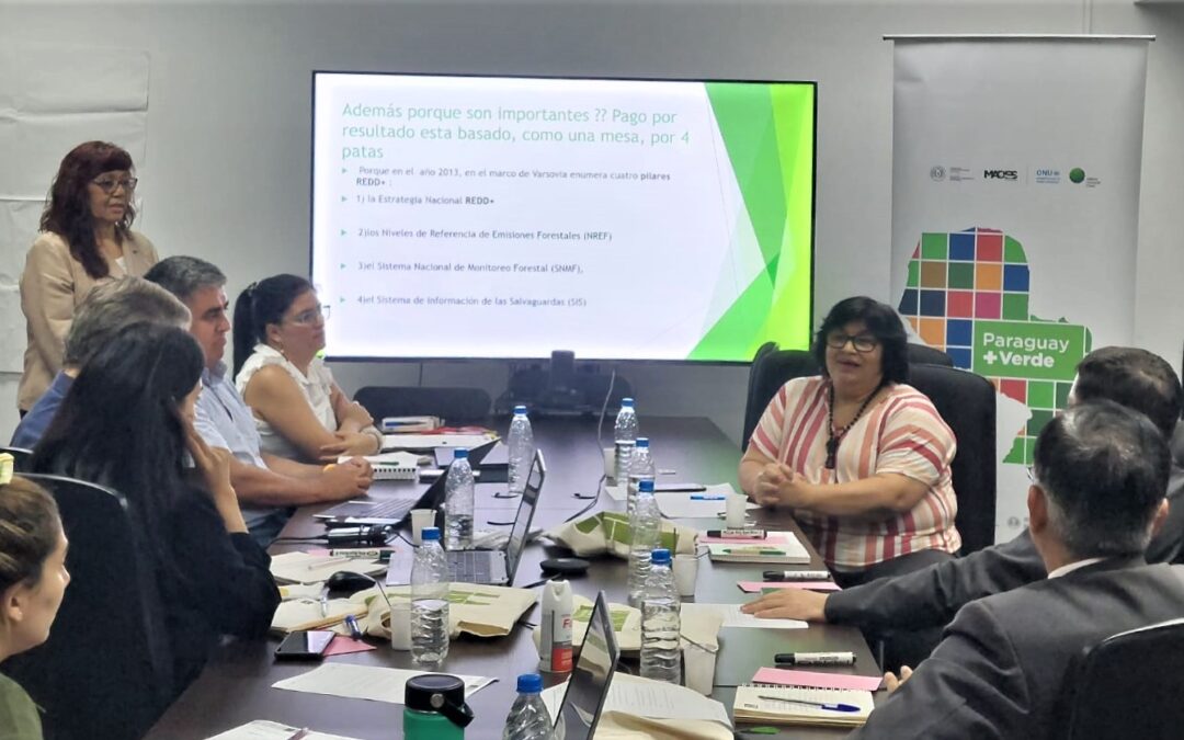Técnicos de planificación territorial participan de capacitación en salvaguardas e igualdad de oportunidades