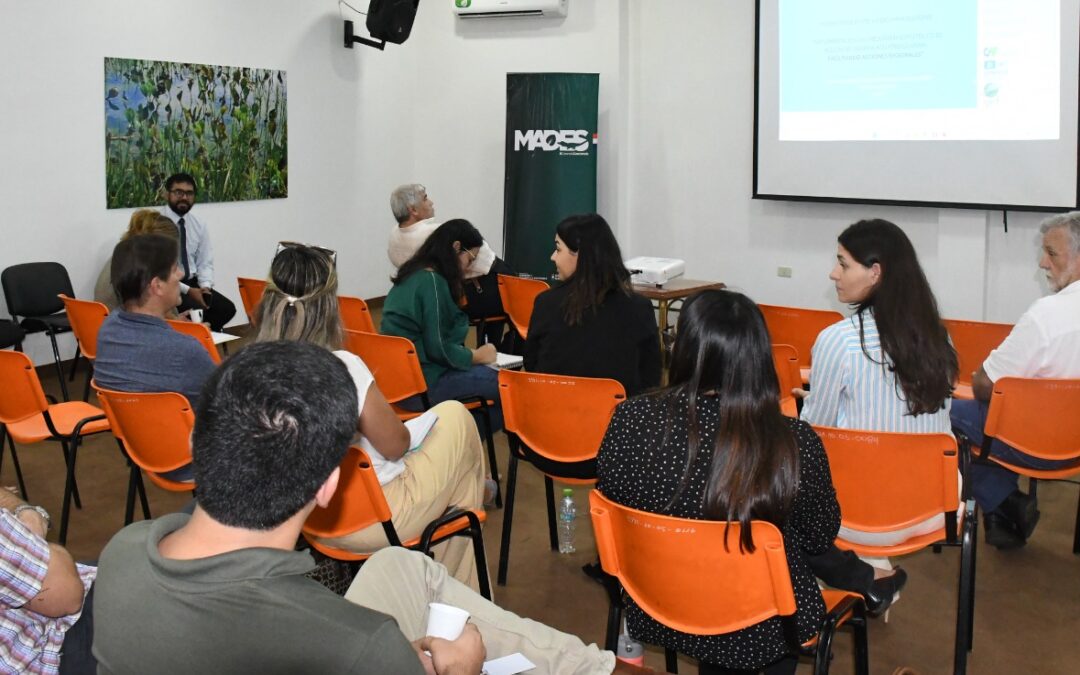 Dan a conocer Proyecto de Porte Medio Implementación del Programa de Acciones Estratégicas del Sistema Acuífero Guaraní: facilitando acciones regionales