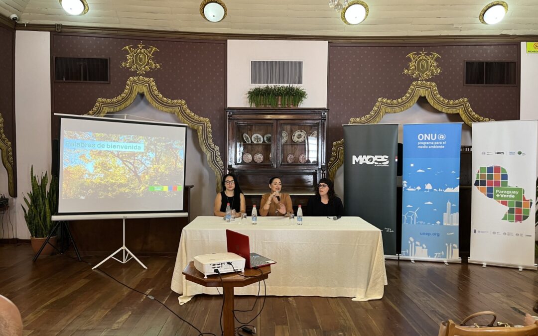 Establecen Mesa técnica de salvaguardas e igualdad