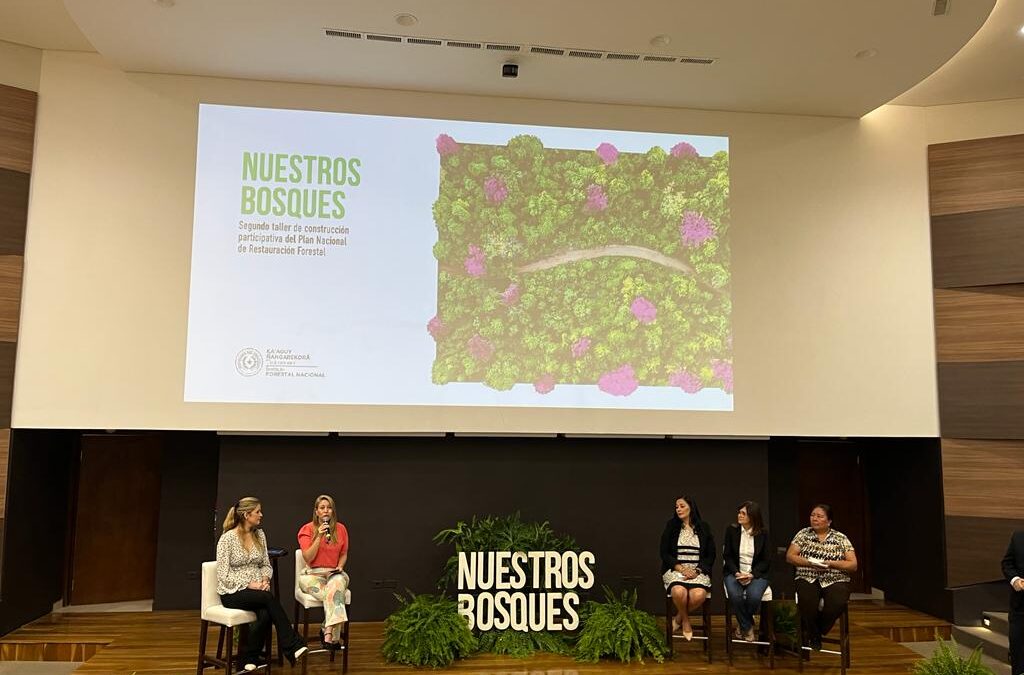 Avanza la construcción del Plan Nacional de Restauración Forestal