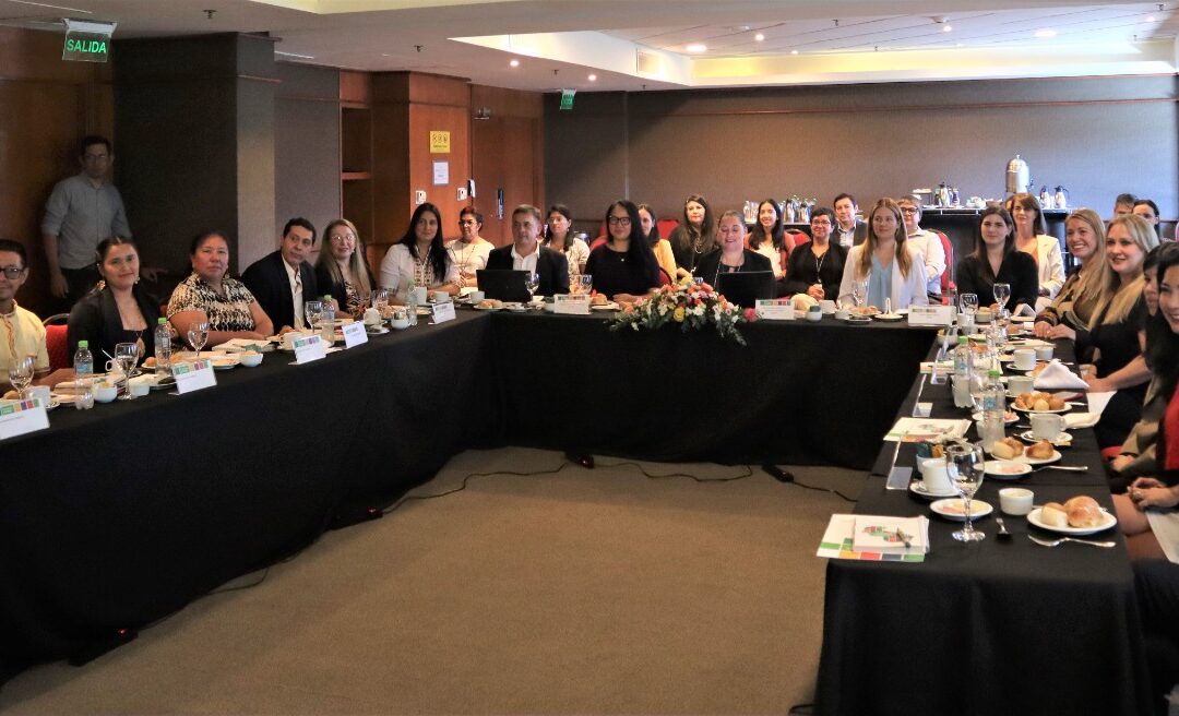 Primera reunión de la Junta Directiva del Proyecto Paraguay + Verde del año