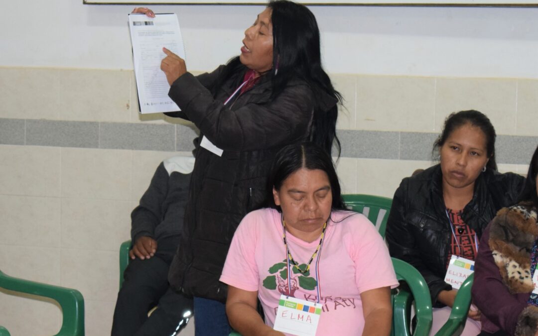 Paraguay + Verde: Representantes indígenas analizaron y aportaron a la Guía orientativa para Consulta y Consentimiento Libre, Previo e Informado