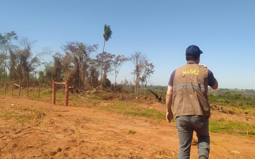 Intervención ante un hecho de desmonte en una propiedad de Canindeyú