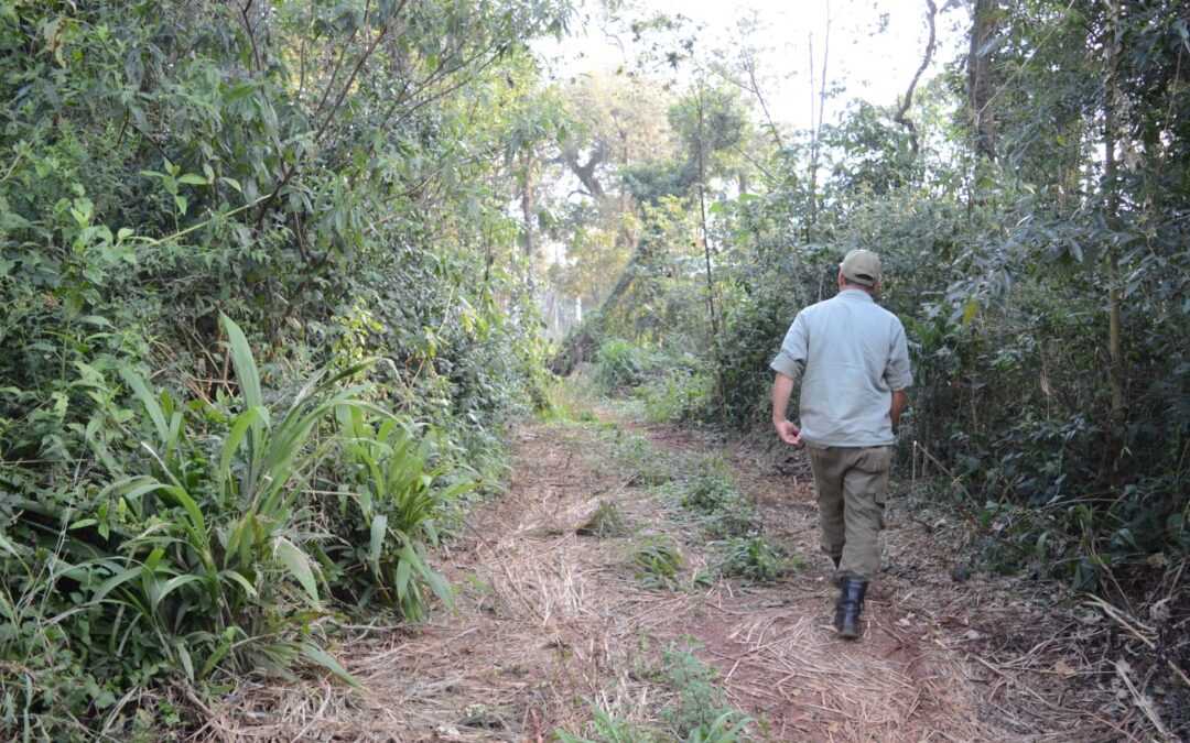 Mades realiza intervenciones en zonas conflictivas del área de la reserva para Parque Nacional San Rafael