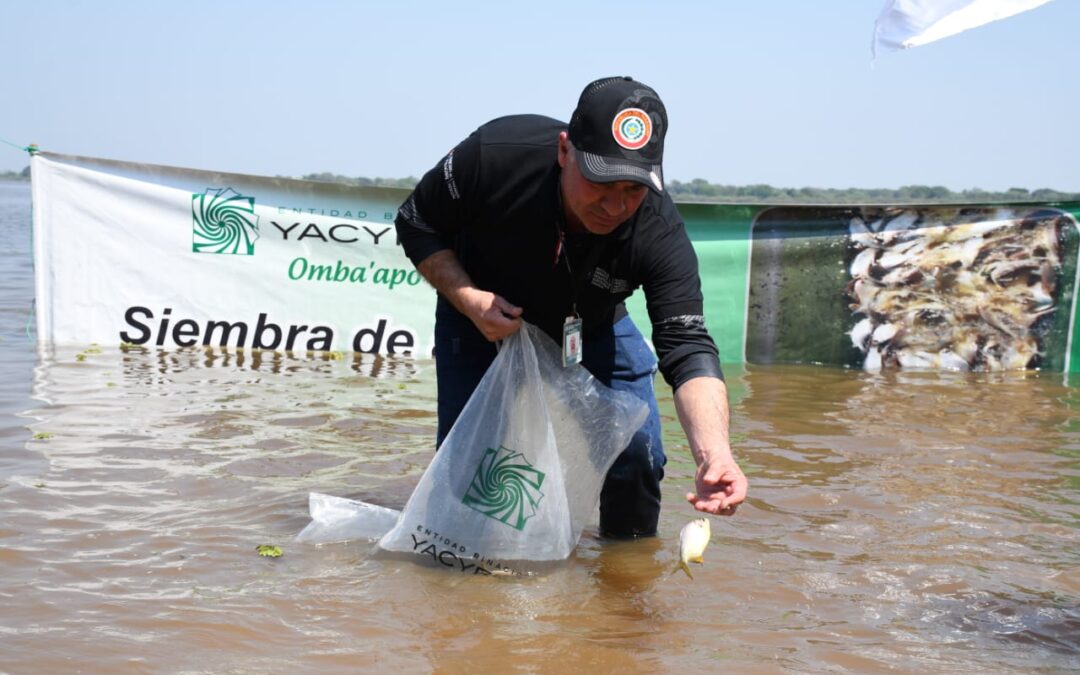 Ñeembucú: Jornada de cultivo de peces en el río Paraguay