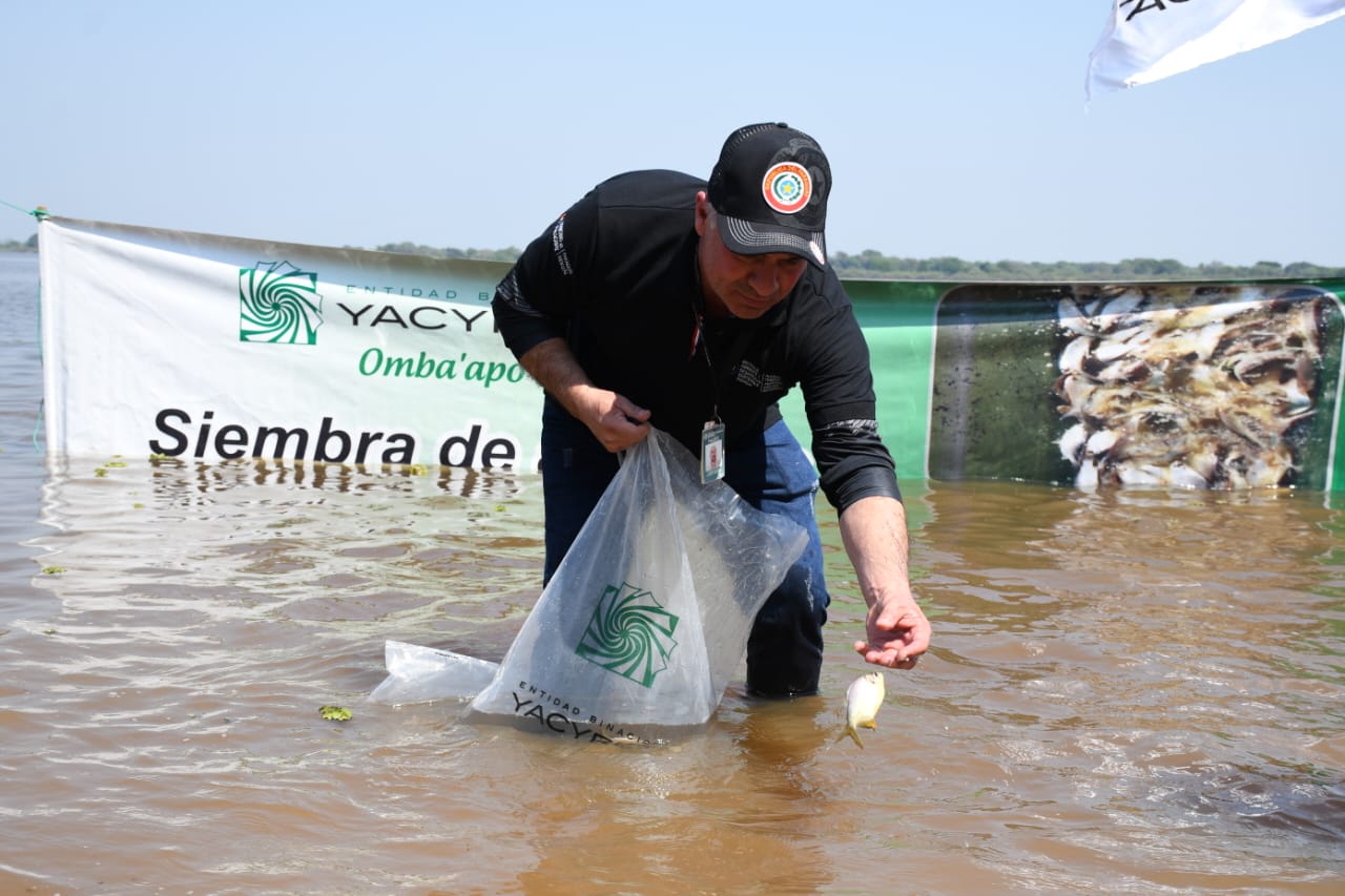Ñeembucú: Jornada de cultivo de peces en el río Paraguay