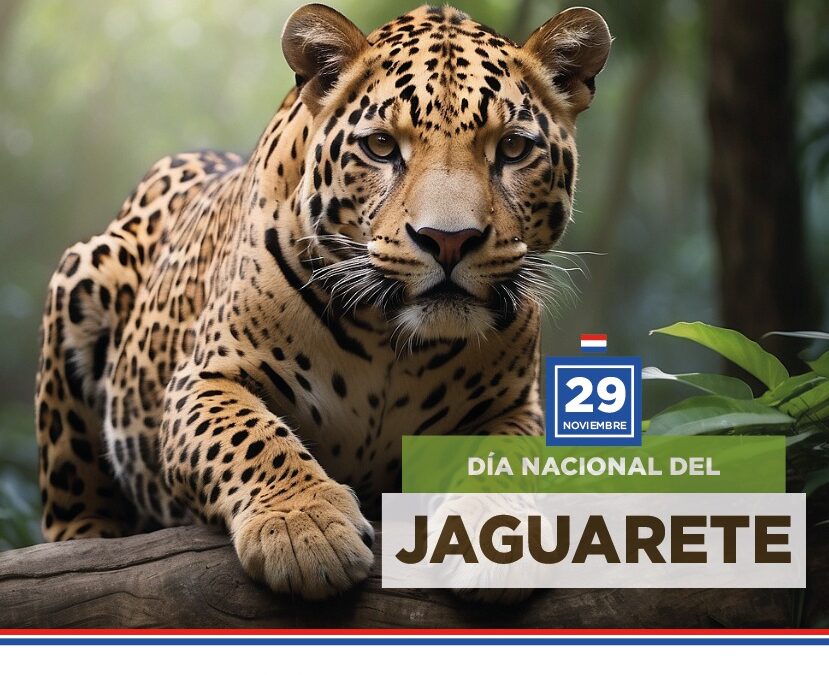 29 de noviembre “Día Nacional del Jaguareté”