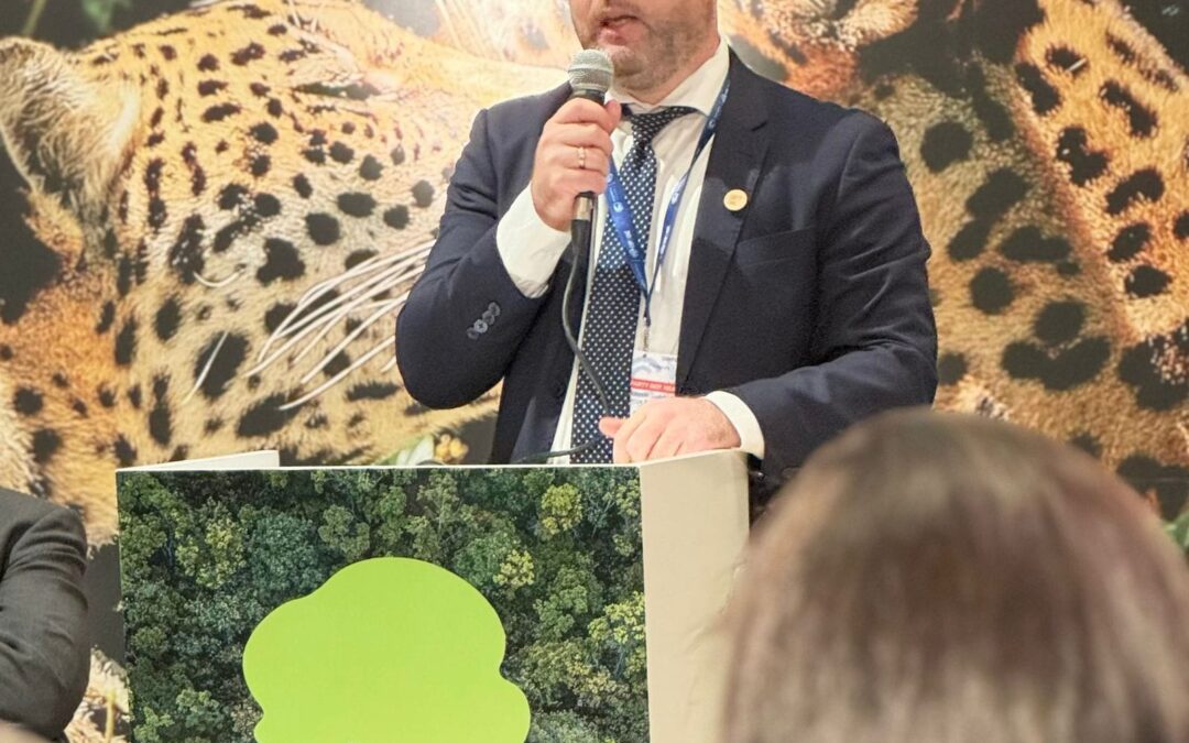 La COP28: Paraguay se posiciona como un atractivo destino para inversiones verdes y sostenibles