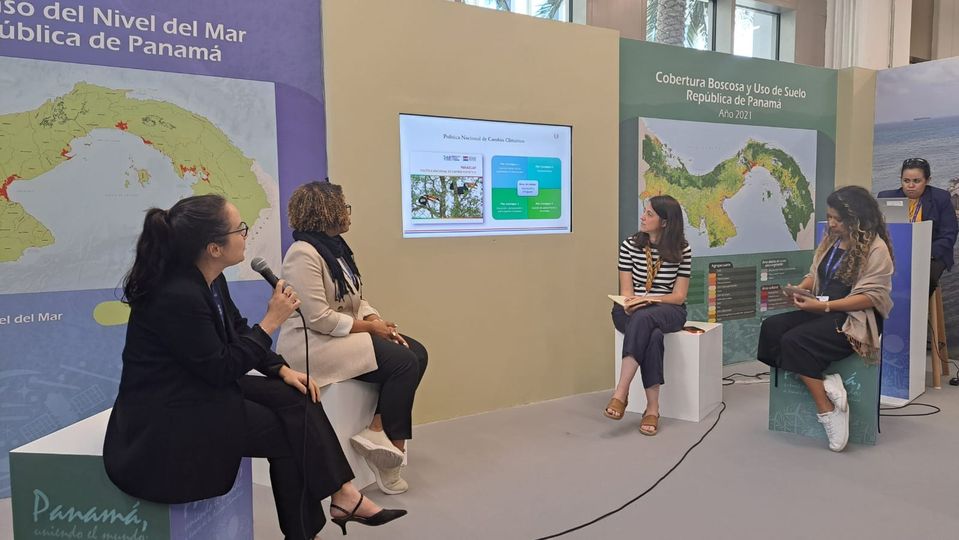 Instrumentos para planificar la adaptación a corto, mediano y largo plazo; Estrategias, Planes, Políticas