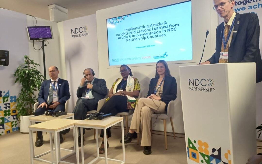 Avances y lecciones aprendidas de la implementación de proyectos de Artículo 6 en países miembros del NDC Partnership