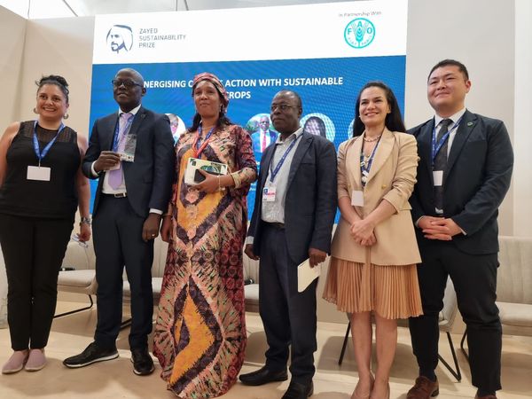 CULTIVO DE YERBA MATE, EN EL MARCO DEL PROYECTO PROEZA, ES PRESENTADO EN LA COP 28