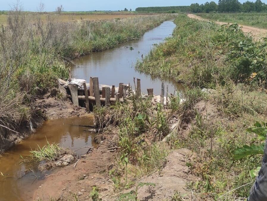 Mortalidad de peces en Misiones: Ordenan destrucción de represa agrícola que desviaba cauce hídrico
