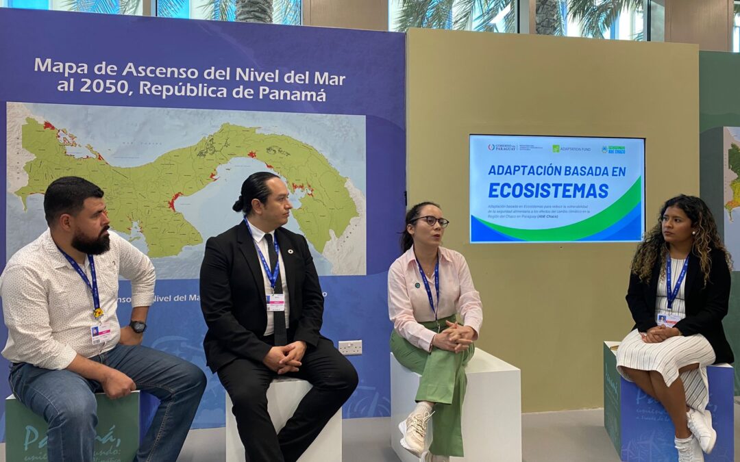 Presentación de acciones de SbN en la COP 28