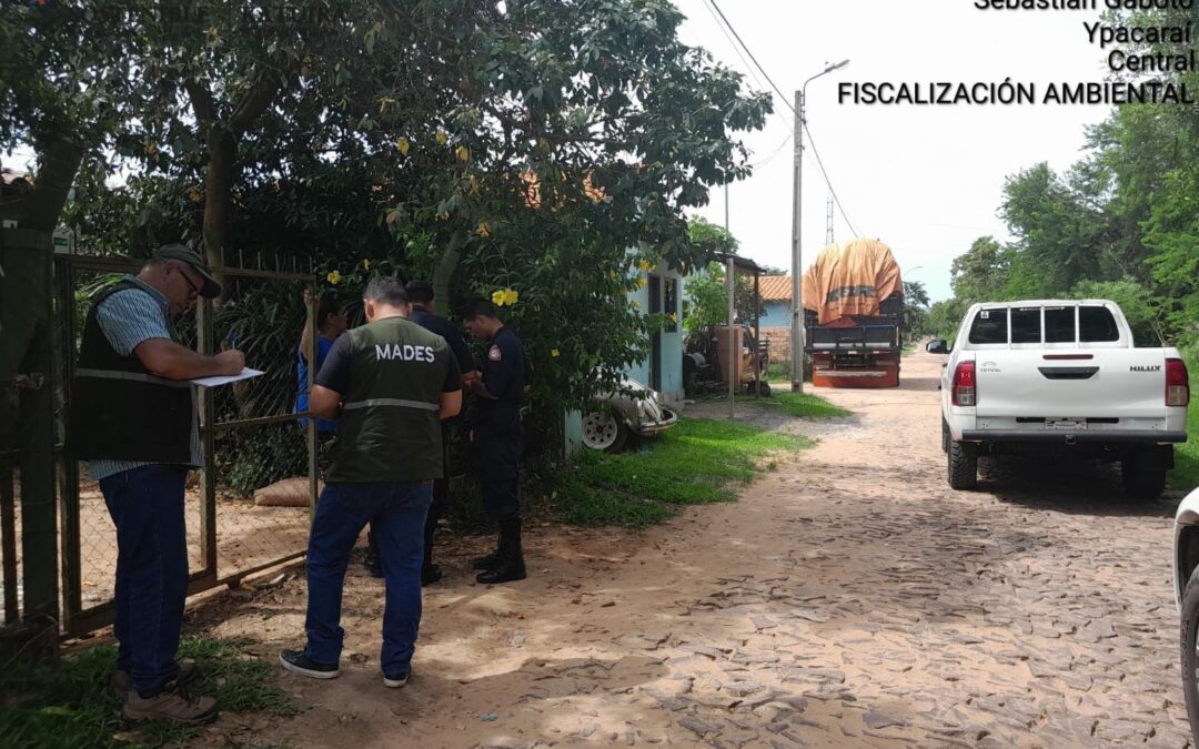 MADES interviene caso de Mono capuchino encontrado sin signos de vida en una caja de cartón