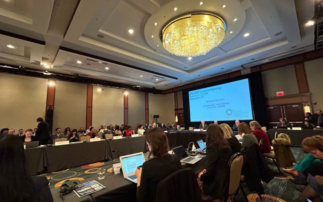 Paraguay participa en la Reunión del Consejo del Fondo Mundial de Medio Ambiente (GEF) en Washington DC