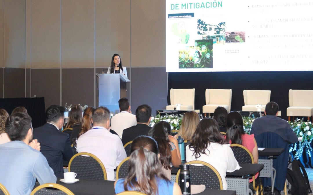 Importancia de la sostenibilidad para el desarrollo integral del país