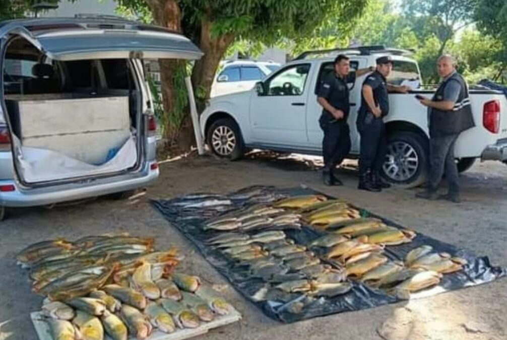 MADES decomisó 400 kilos de pescado en Ñeembucú