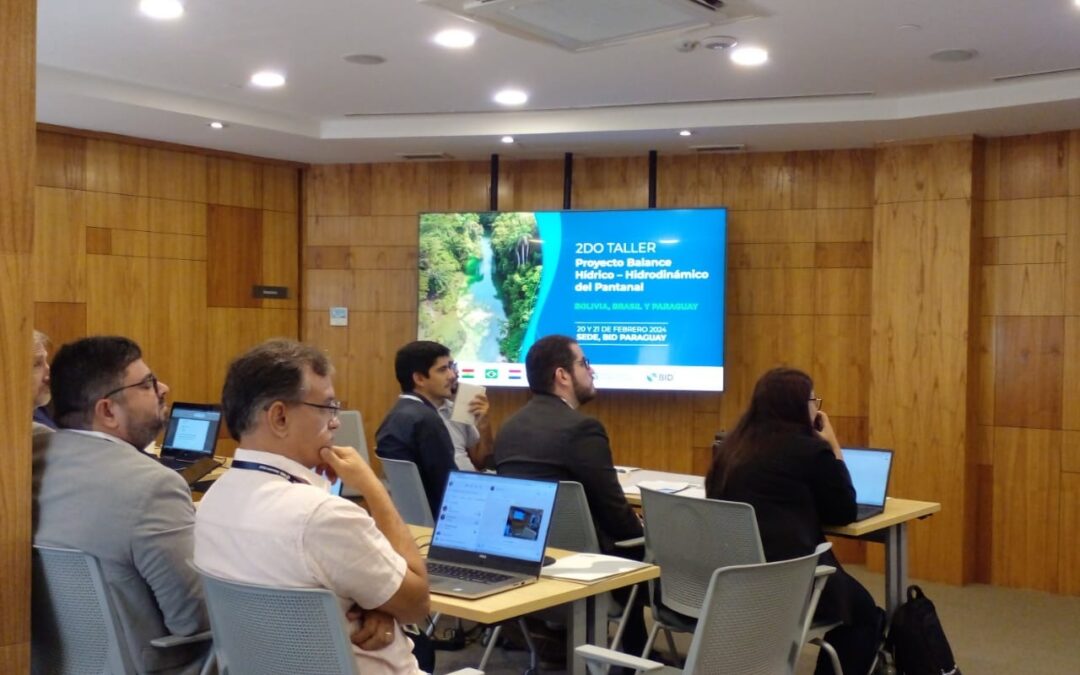 Analizan los escenarios del ecosistema del Pantanal