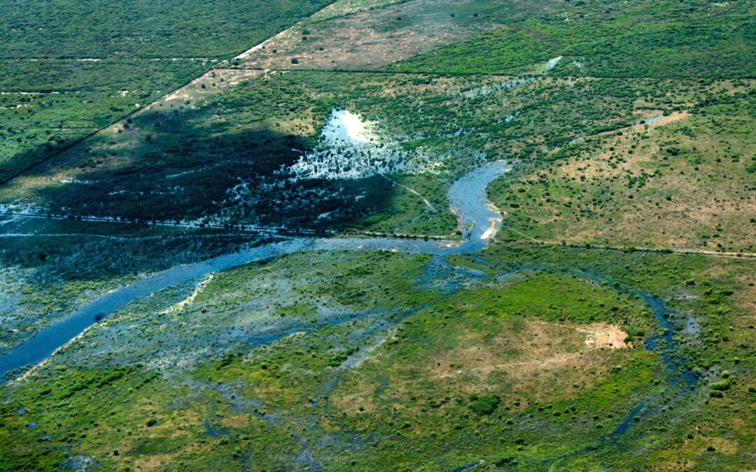 Ingreso de aguas del Río Pilcomayo: Se constata significativo ingreso de agua en bañados de la zona