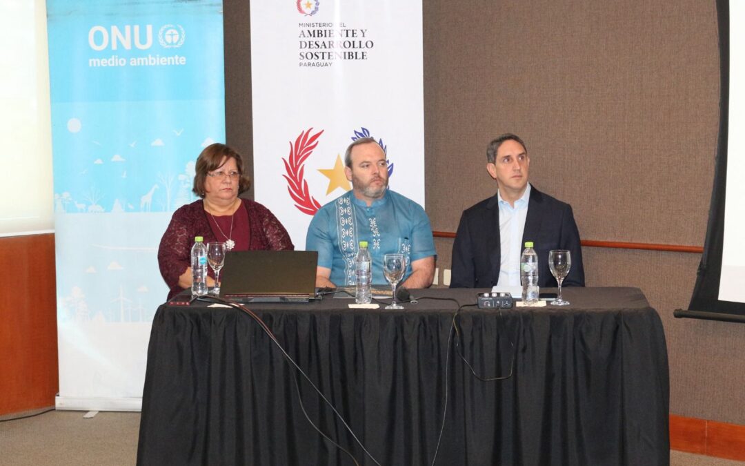 Lanzamiento del Proyecto ‘Vehículos Seguros y Limpios en Paraguay’