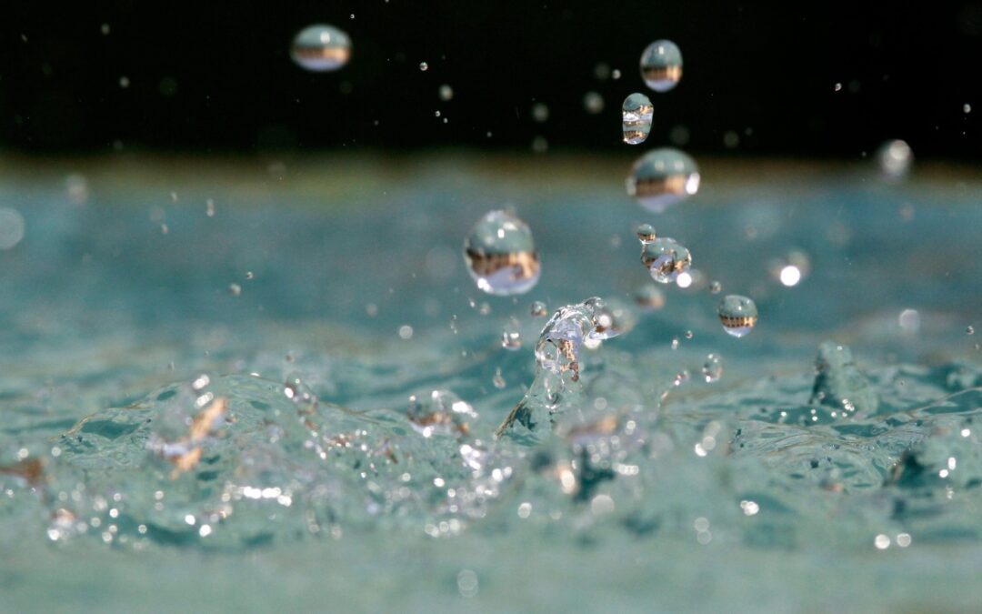 22 de marzo «Día Mundial del Agua»