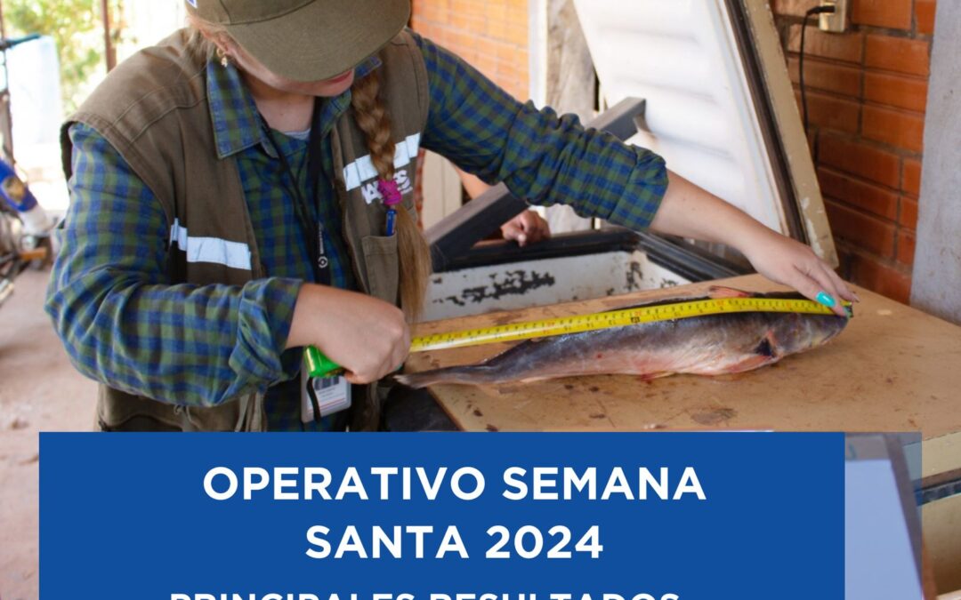 Operativo Semana Santa 2024: Mades realizó verificaciones y controles velando por el respeto de los recursos naturales