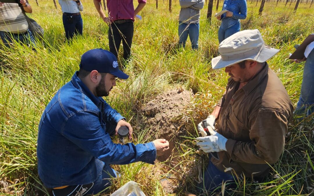 Expertos validan en terreno mapa nacional para la Neutralidad de la Degradación de las Tierras