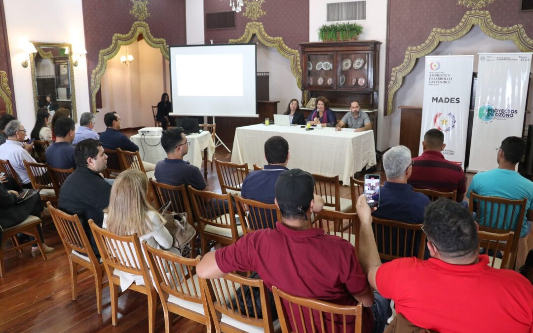 Avances Sostenibles en Refrigeración y Climatización en Paraguay: Acuerdos Clave en la Reunión del Comité de Buenas Prácticas
