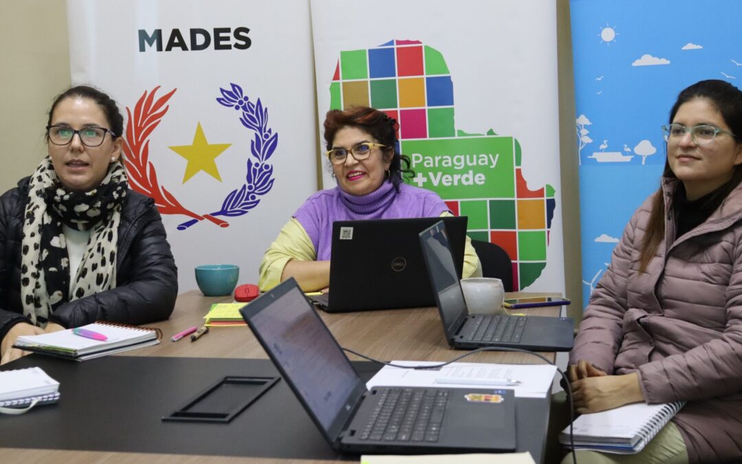 Continúa la Comunidad de prácticas y aprendizaje sobre equidad e igualdad para fortalecer las capacidades del Equipo técnico de Paraguay + Verde