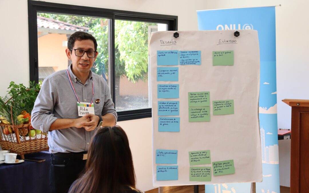 Puntos focales técnicos de Paraguay + Verde se reúnen para abordar temas clave