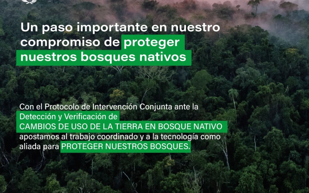 Conservación de bosques: Nuevo protocolo aprobado