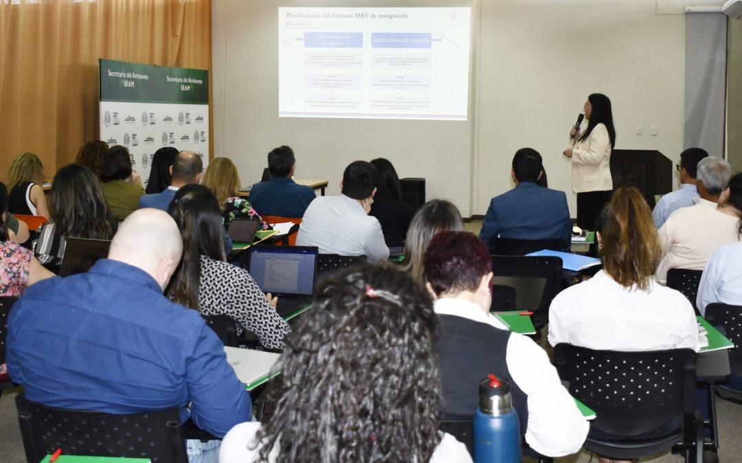 Construcción de Indicadores para la Mitigación del Cambio Climático en Paraguay