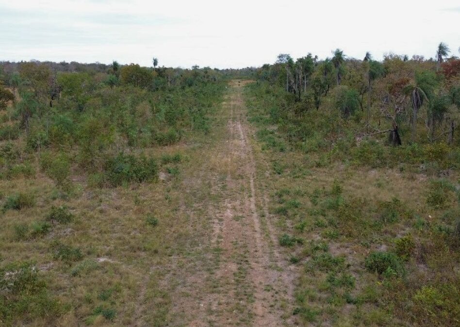 Protección de áreas silvestres protegidas: Desactivan pistas clandestinas y bases de producción de marihuana en el Parque Paso Bravo