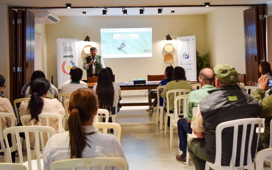 Taller regional sobre actualización de metas nacionales de biodiversidad en Concepción