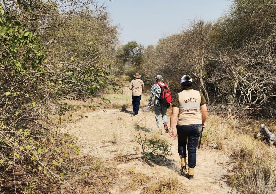 MADES impulsa iniciativa para la conservación del Palo Santo en el Chaco paraguayo