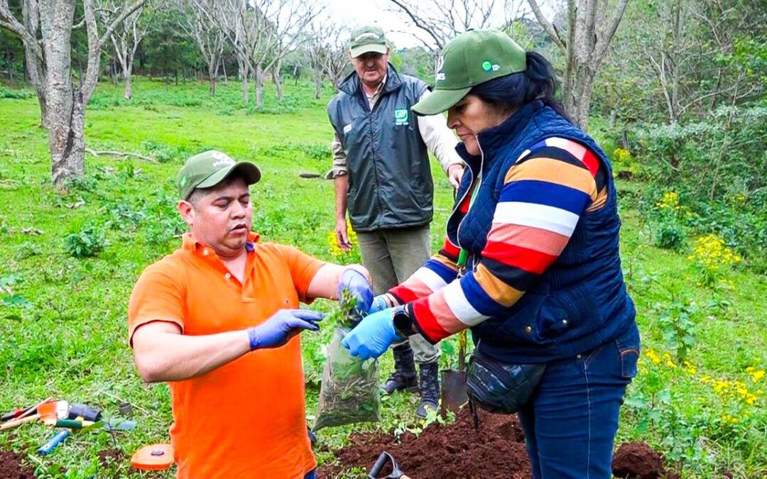 Análisis de suelos: Monitoreo ambiental de captación de carbono en Reserva de Recursos Manejados Ybytyruzú