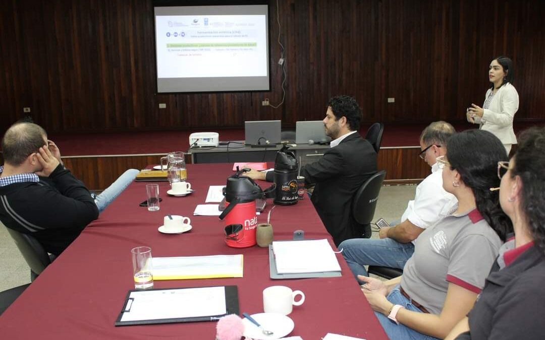 Reunión interinstitucional para mejorar la precisión del Inventario Nacional de Gases de Efecto Invernadero en Paraguay