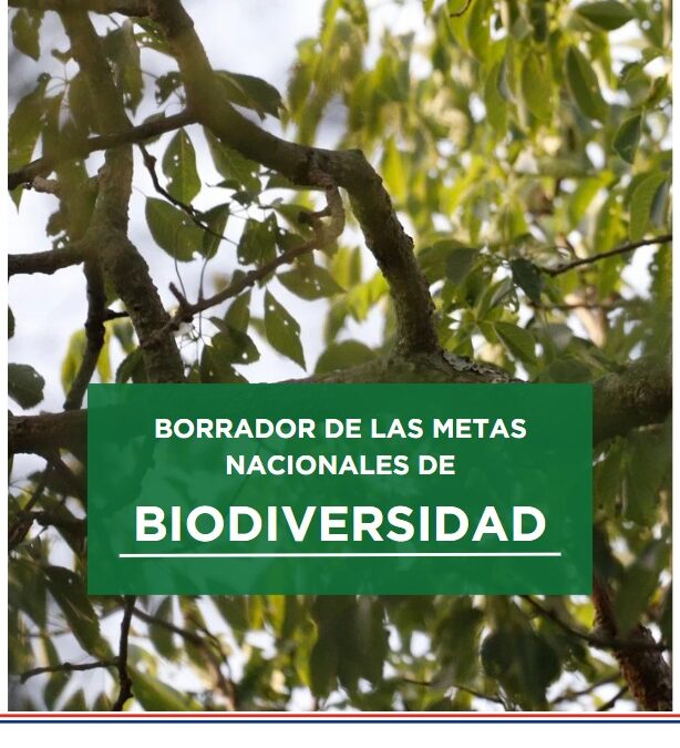 Presentamos el Primer Borrador Oficial de las Metas de Biodiversidad para Paraguay