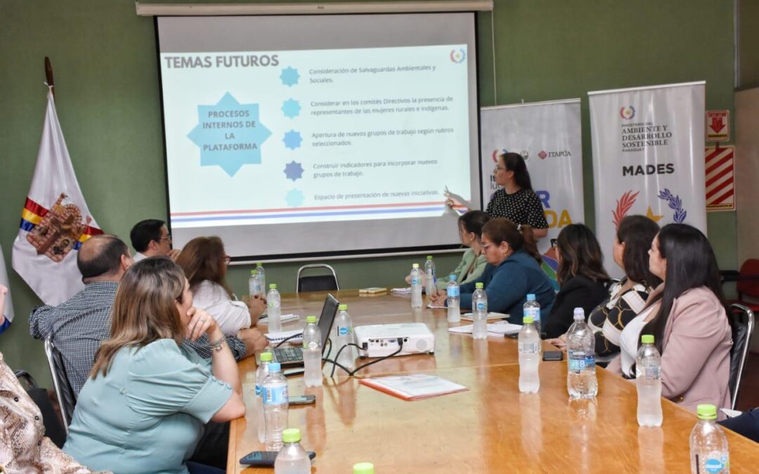 Presentación de la Plataforma de Desarrollo Sostenible en Itapúa
