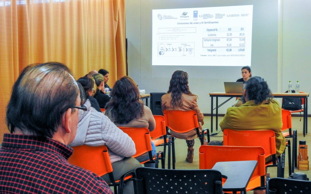 Intercambio técnico sobre categorías de suelos agrícolas para la preparación del Primer BTR de Paraguay