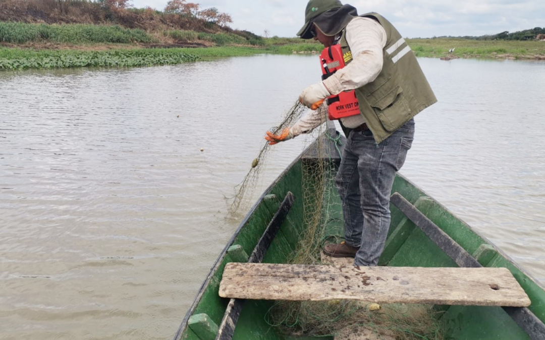 Ley de veda de pesca 2025