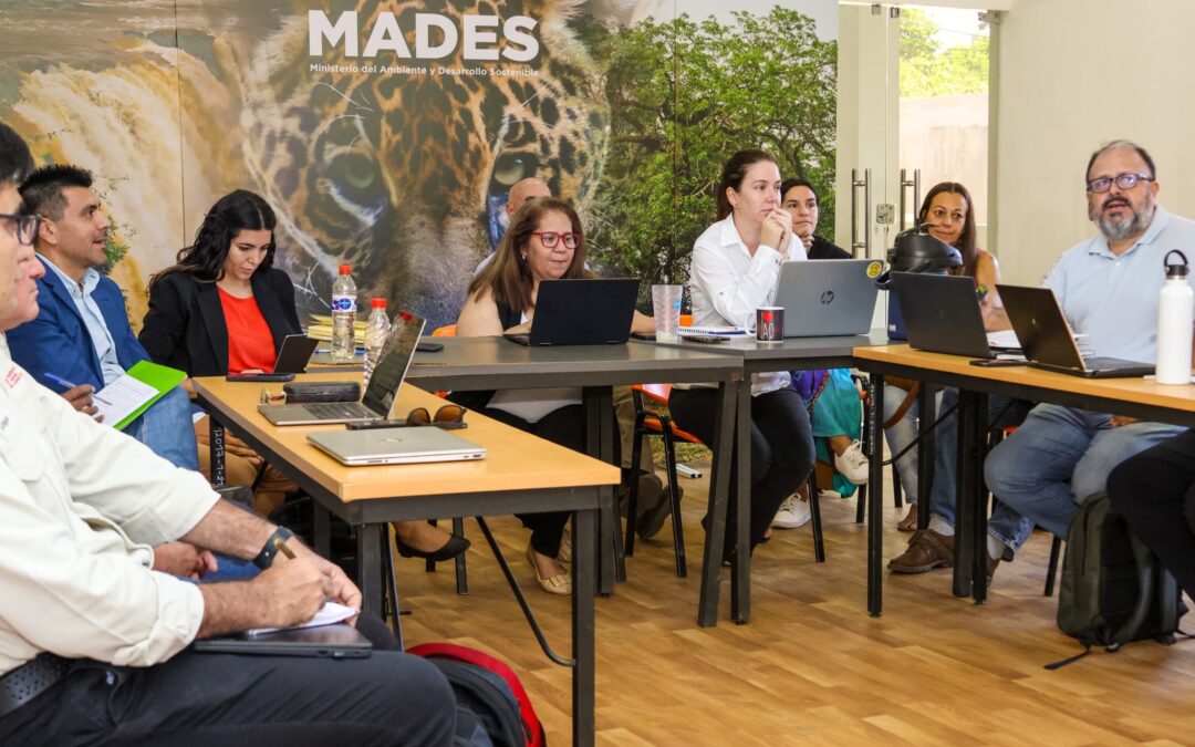 Taller de Mesa Técnica de Coordinación para la Gestión Sostenible del Chaco: Avances y Sinergias de Proyectos del MADES