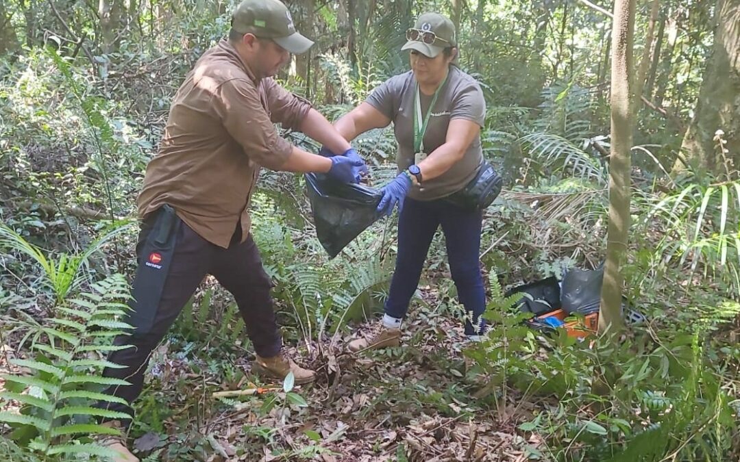 Continúa el muestreo de suelo en áreas silvestres protegidas para evaluar la captura de carbono
