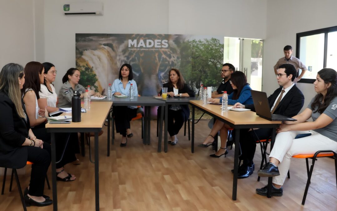 Conformación del Comité Técnico para el Programa de Preparación del Fondo Verde para el Clima